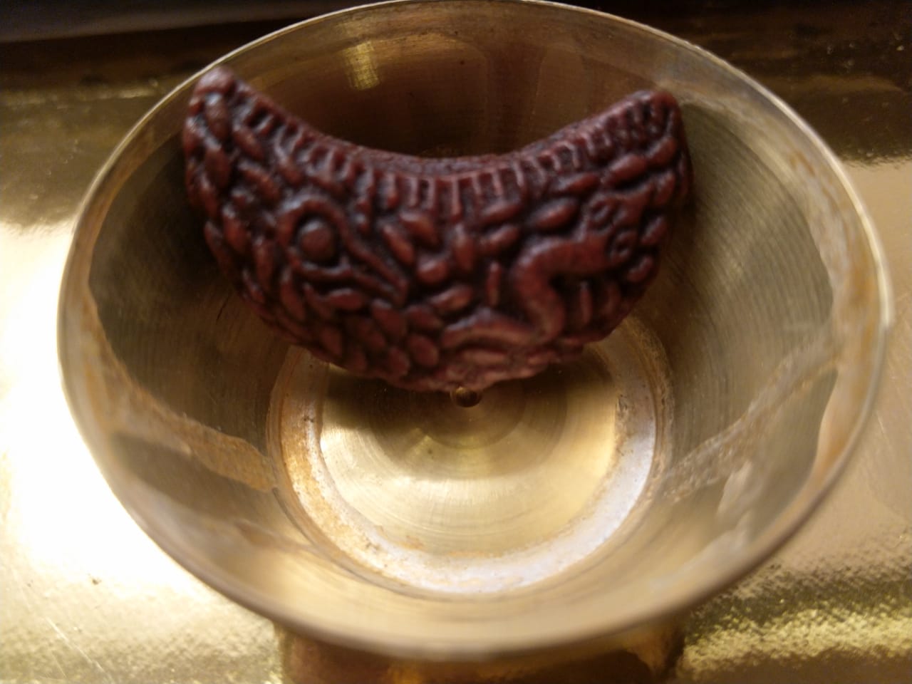 shaped rudraksha